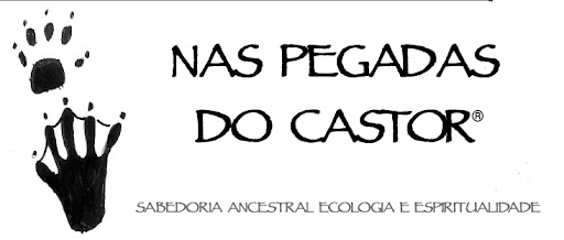 NAS PEGADAS DO CASTOR