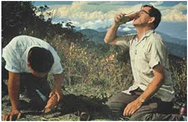 Gambar Tumbuhan Kantong Semar - Gambar Gambar Tumbuhan