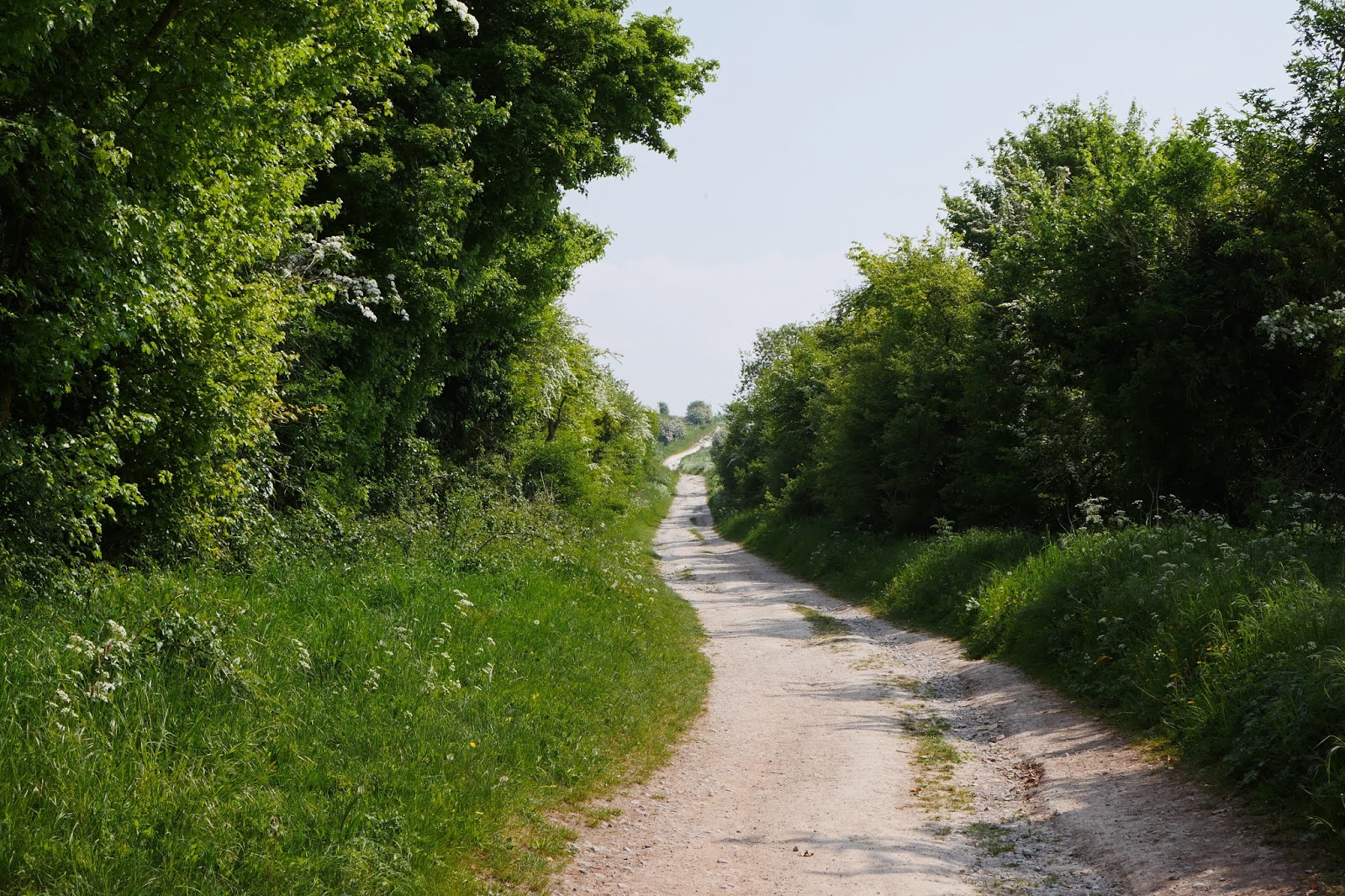 Walking in the country Whitehorse Hill to Lambourn (Lambourn Valley Way 1)