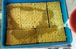 Cara Menanam Hidroponik Pakcoy Sederhana Dari Semai Hingga Panen (Mudah, Murah Dan Bisa Dilakukan Di Rumah) Cara Menanam Hidroponik Pakcoy Sederhana Dari Semai Hingga Panen (Mudah, Murah Dan Bisa Dilakukan Di Rumah)