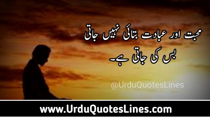 Mohabbat Or Ibadat Batayi || Love Quotes In Urdu Quotes Lines
