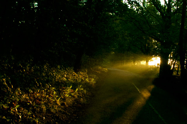 sun rays across the road early morning