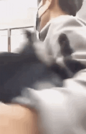 이미지에 대체텍스트 속성이 없습니다; 파일명은 WealthyQuestionableBull-size_restricted.gif 입니다.