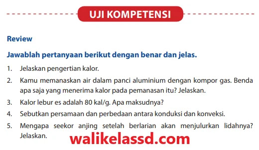 Kunci Jawaban Ipa Kelas 7 Uji Kompetensi 5 Halaman 185 186 Wali Kelas Sd