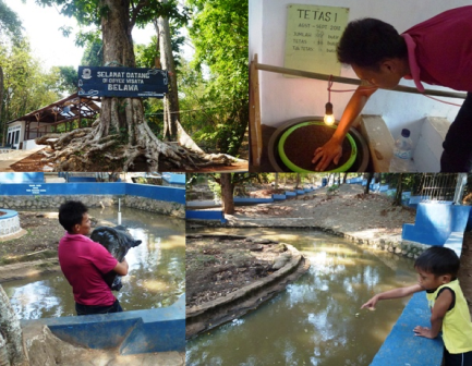 Wisata Ke Objek Wisata Kura-Kura Belawa - SiswaPelajar.com