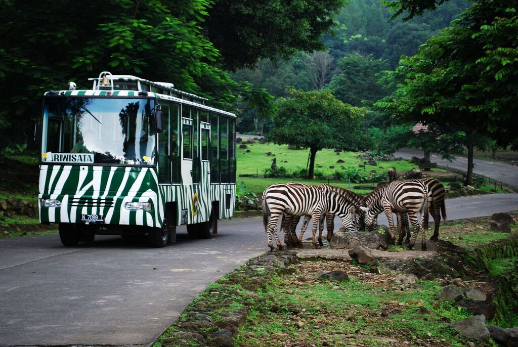 TIKET WISATA TAMAN SAFARI PRIGEN - SOS TRAVELINDO