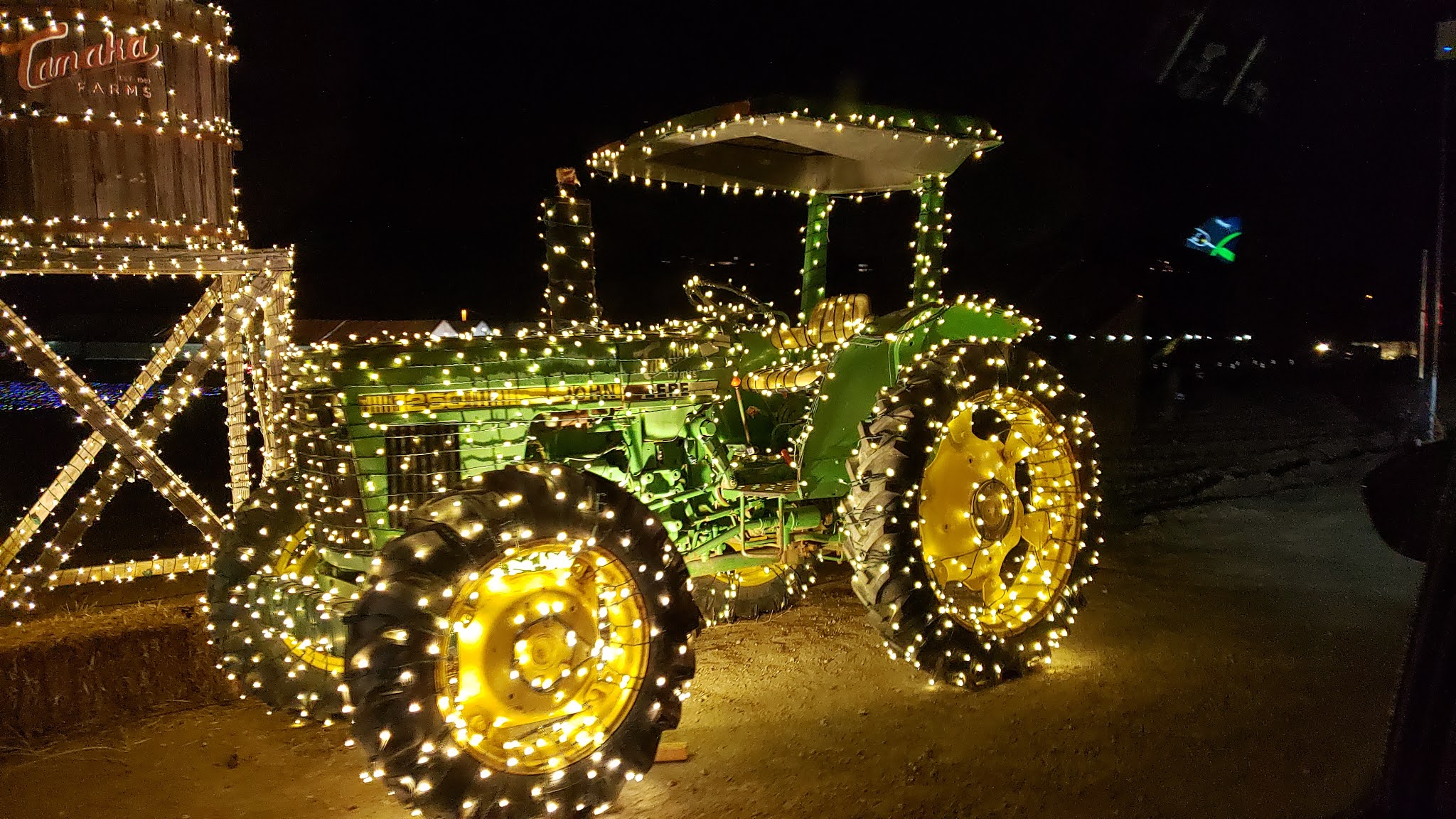 Life in the LinOhana Hikari Lights at Tanaka Farm
