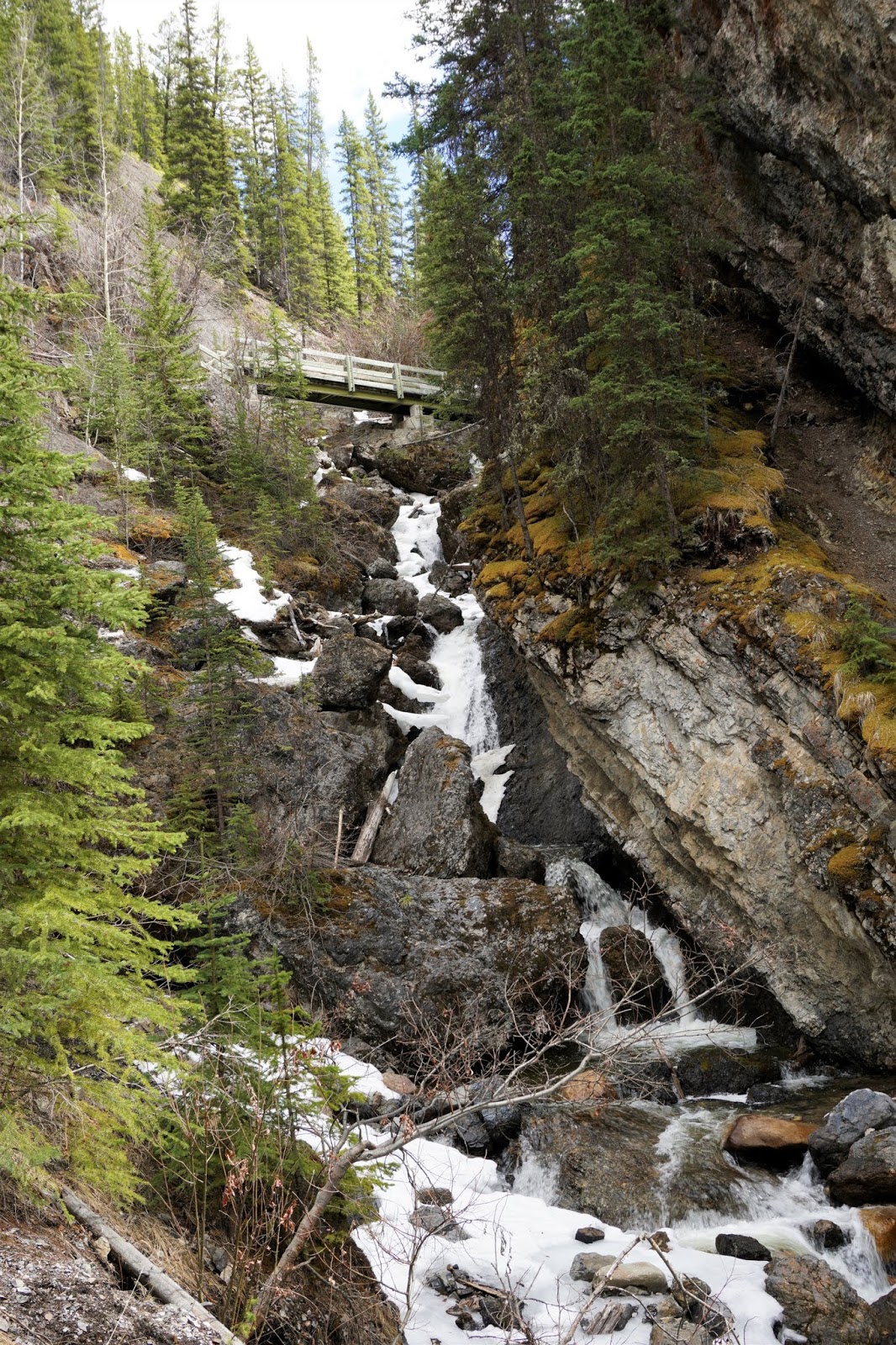 Sundance Trail and Sundance Canyon Loop, Banff Play Outside Guide