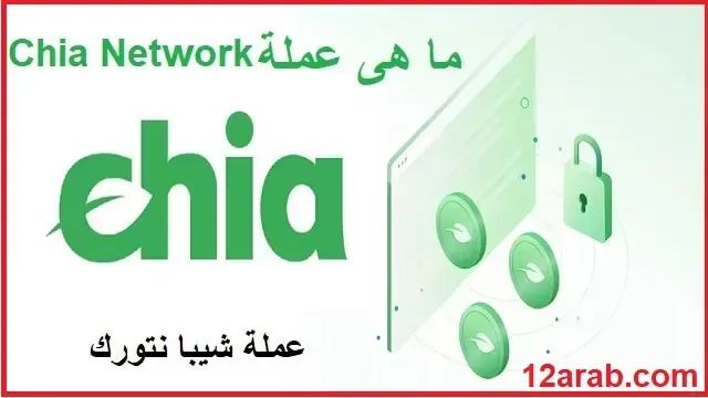 ما هى عملة chia network