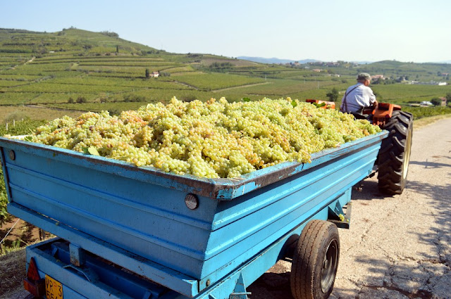 percorso dei 10 capitelli soave