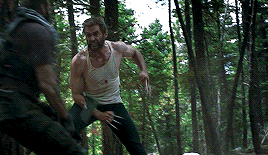 l3.gif