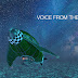 Voice from the Clouds - Episode 1 - The Launch of My Vlog