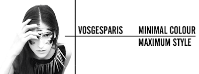 A new blog for vosgesparis