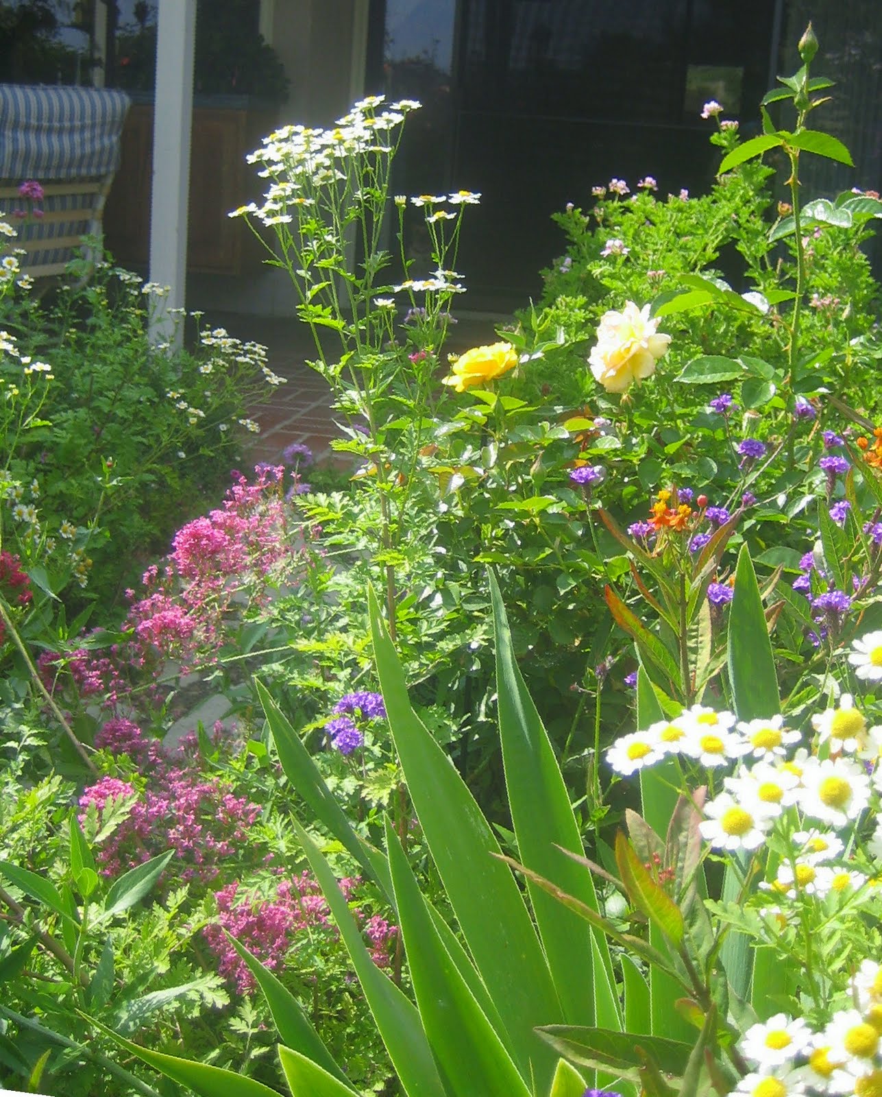 A Very Good Life Wildflowers, Wildlife and Wine