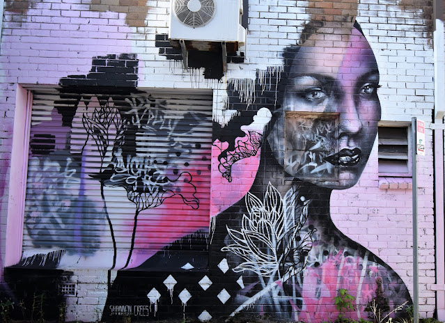 Caringbah Street Art by Shannon Cree's