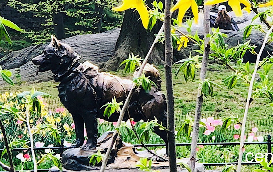 BALTO at Central Park Tour - Stop