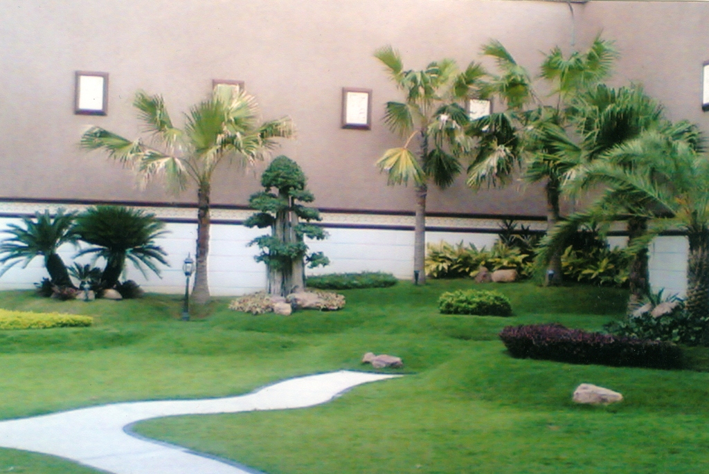 TAMAN HIAS | TUKANG RUMPUT | TAMAN MINIMALIS | JASA TAMAN | RUMPUT