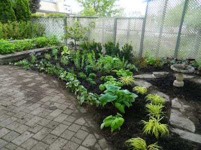 Summerhill Toronto New Front Shade Garden Makeover After by Paul Jung Gardening Services--a Toronto Gardening Services Company Summerhill Toronto New Front Shade Garden Makeover After by Paul Jung Gardening Services--a Toronto Gardening Services Company