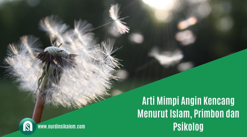 Arti Mimpi Angin Kencang Menurut Islam Primbon Dan Psikolog Blog Nurdin Sikalem