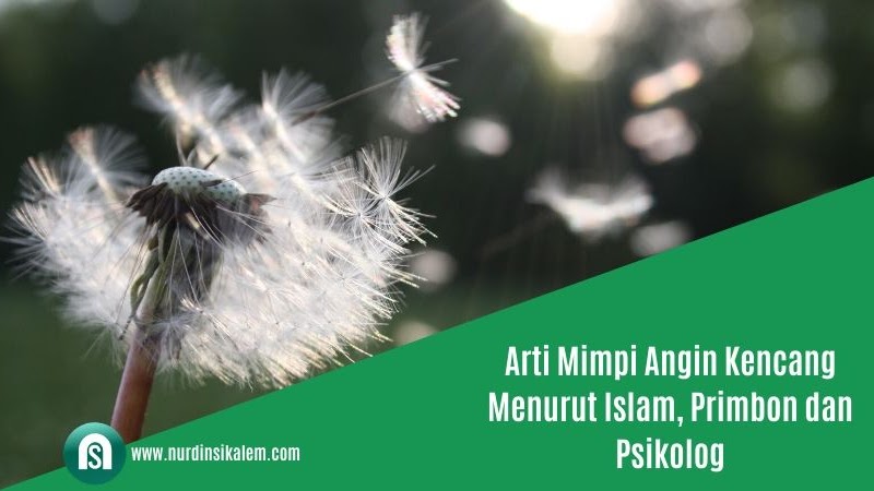 Arti Mimpi Angin Kencang Menurut Islam Primbon Dan Psikolog Blog Nurdin Sikalem