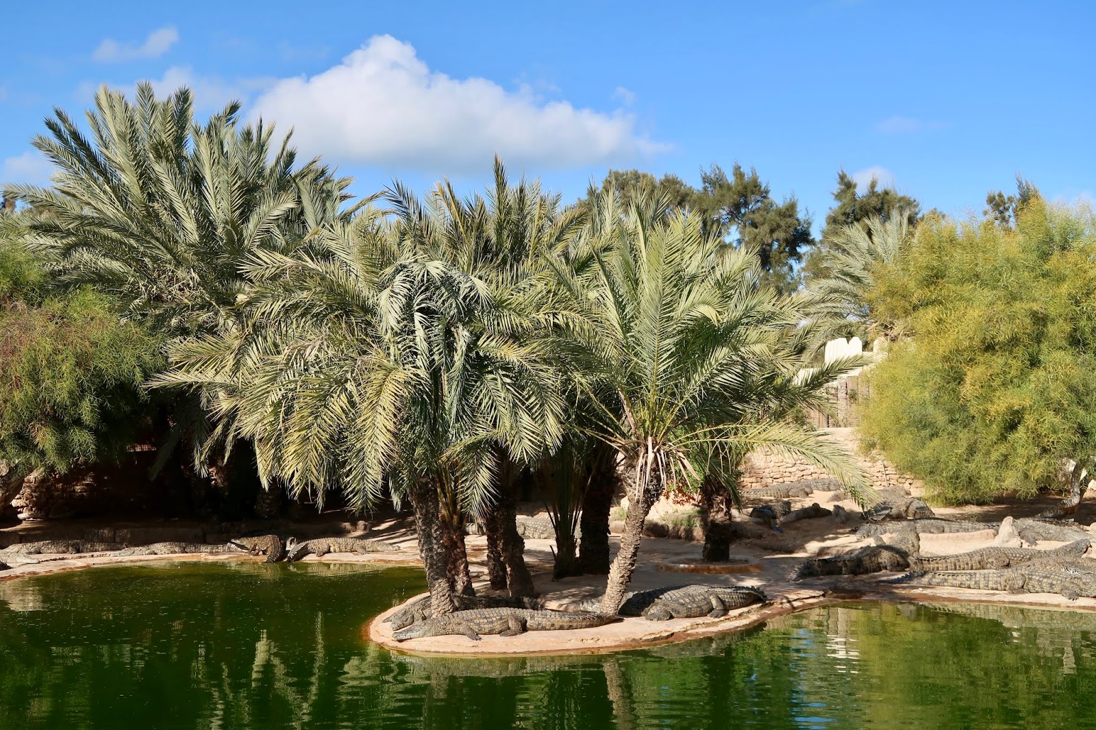 Parc Djerba Explore 2019