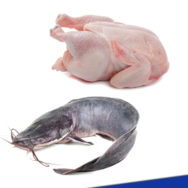 Fresh frozen chicken, catfish, tilapia, sardine and mackerel fish