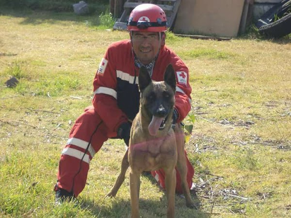 Balto, el perro rescatista de Oaxaca da su apoyo a la CDMX Balto, el perro rescatista de Oaxaca da su apoyo a la CDMX