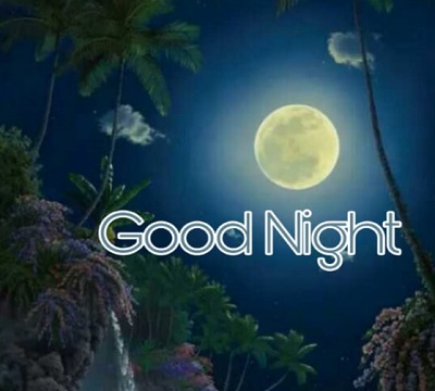 Download 25+ Cute Good night Images Download 25+ Cute Good night Images