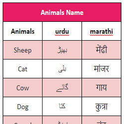 Animal Names English to Urdu & Marathi - EduDream | An Educational Hub