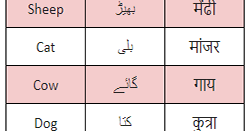 Animal Names English to Urdu & Marathi - EduDream | An Educational Hub