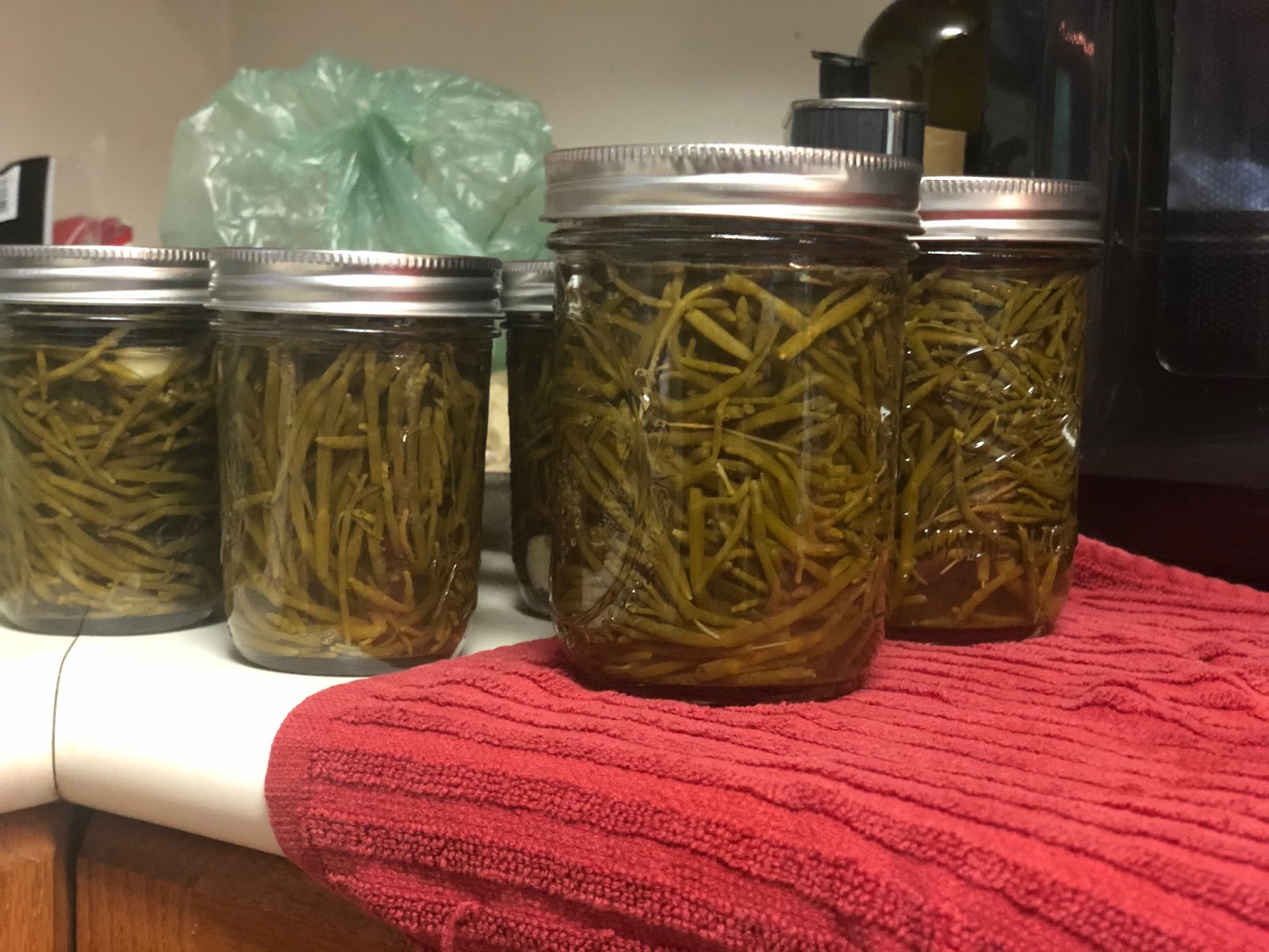 Hollis, Alaska Pickled Sea Asparagus Recipe P.O.W. Report