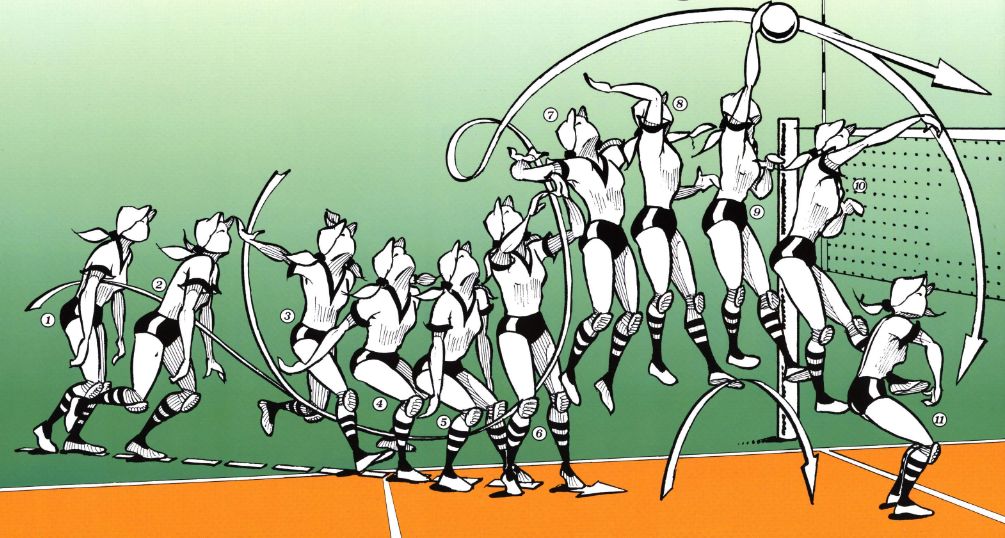 EDUCACIÓN FÍSICA EN SAMANIEGO LAGUARDIA EL