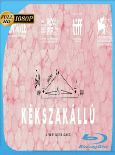 Kékszakállú (2016) HD [1080p] Latino [GoogleDrive] SXGO