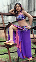 Sheela milky navel and thigh show photos