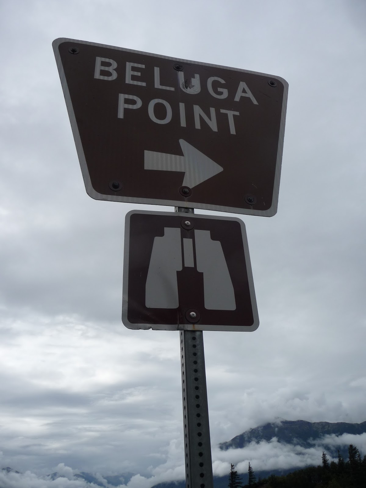 One month in Alaska 2015 July 28, 2015Breakfast at Snow City Cafe