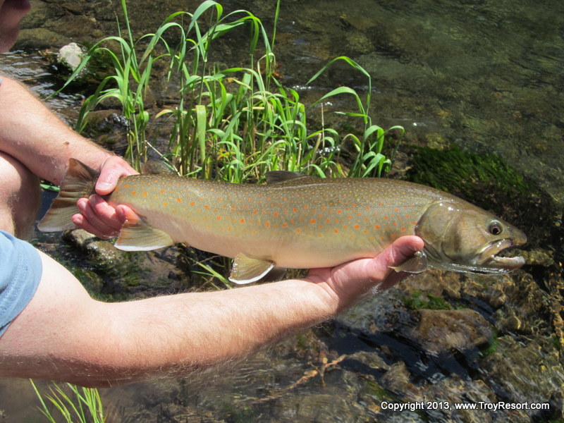 Troy Resort Blog Amazing Bull Trout fishing, Wenaha River in Troy