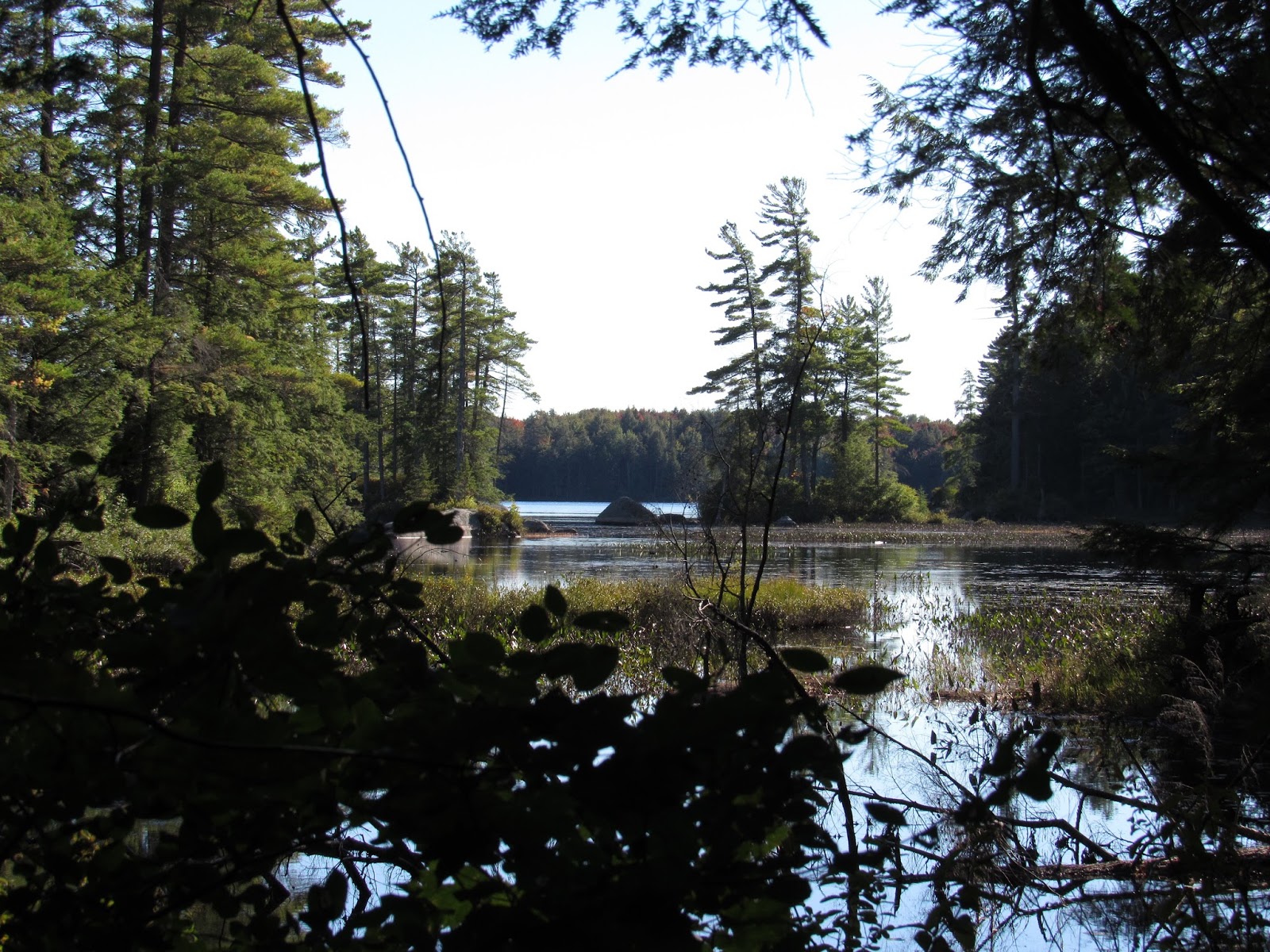 2020 Doug Photo Blog Francis Lake