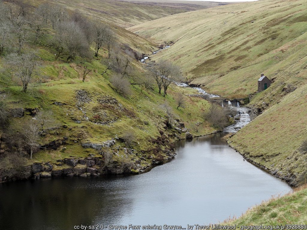 Liberal England Brecon and Radnorshire and Nigel Tufnell