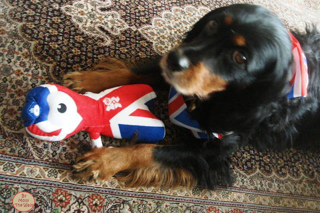 9B Molly The Wally Wrestles Wenlock The London 2012 Olympic Games Mascot.