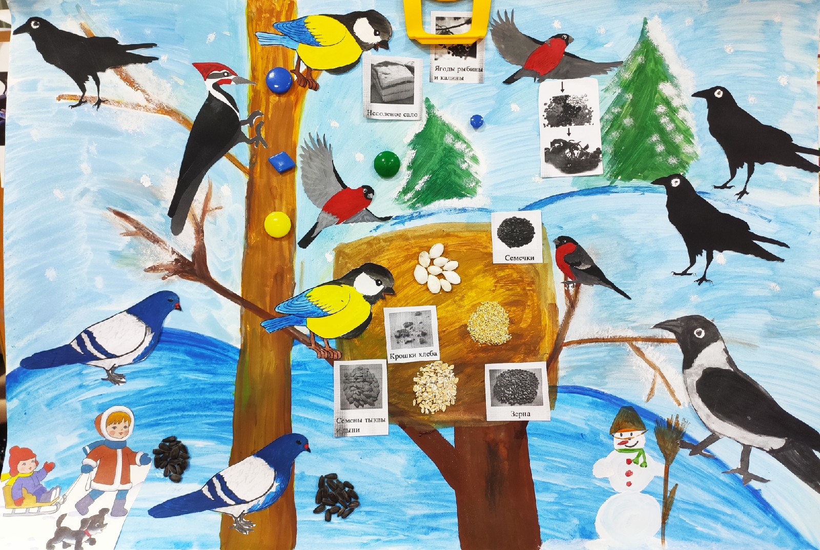 Тема пернатые друзья средняя группа. Плакат птицы. Плакат птицы зимой. Плакат птицы для детского сада. Рисование в детском саду зимующие птицы.