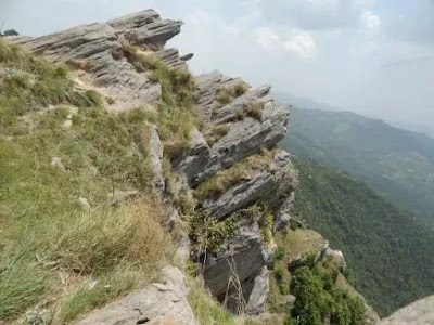 Chauli ki jali mukteshwar Chauli ki jali