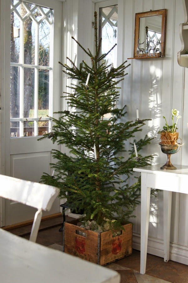 More tips for decorating the Christmas tree in 2015
