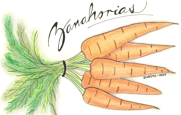 La multifacética zanahoria