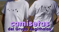 camisetas del Grupo Aegithalos