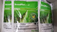 herbisida terbaik untuk padi, boardplus, cara menanam padi, rumput, gulma, jual pestisida, toko pertanian, toko online, lmga agro