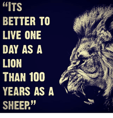 It's better to live like a lion for a day