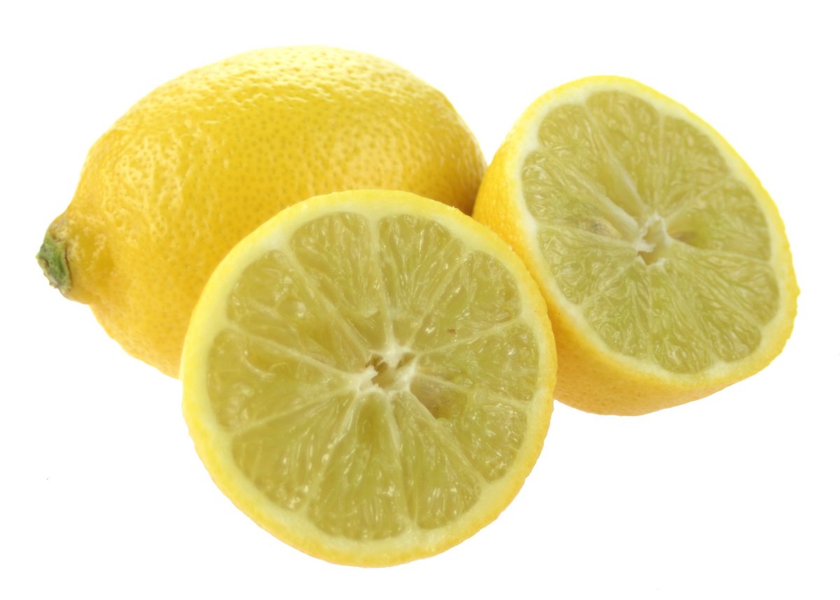 Лемон лид. Лемон Тери. Лимон. Лимон на белом. Лимон фото.