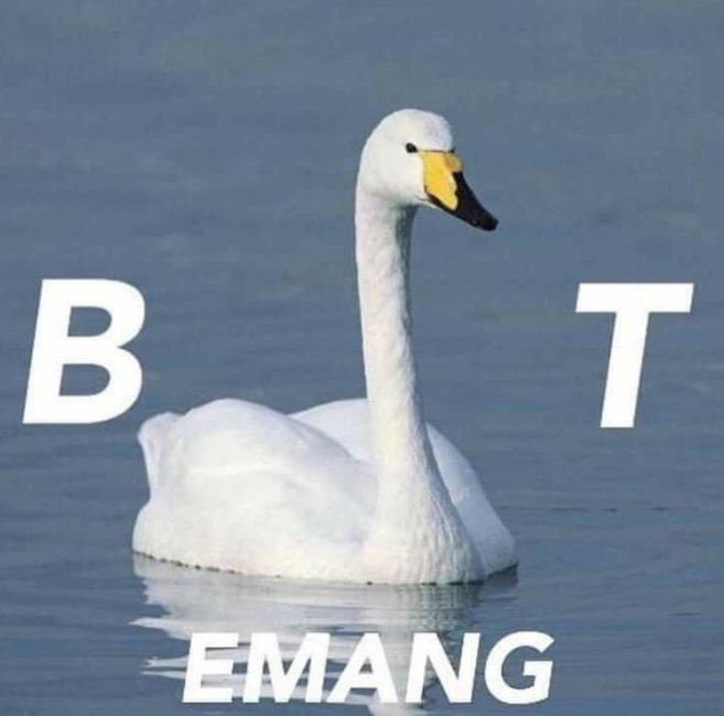 13 Gambar Lucu 'Plesetan Kata' yang Recehnya Bikin Ngakak Guling-guling