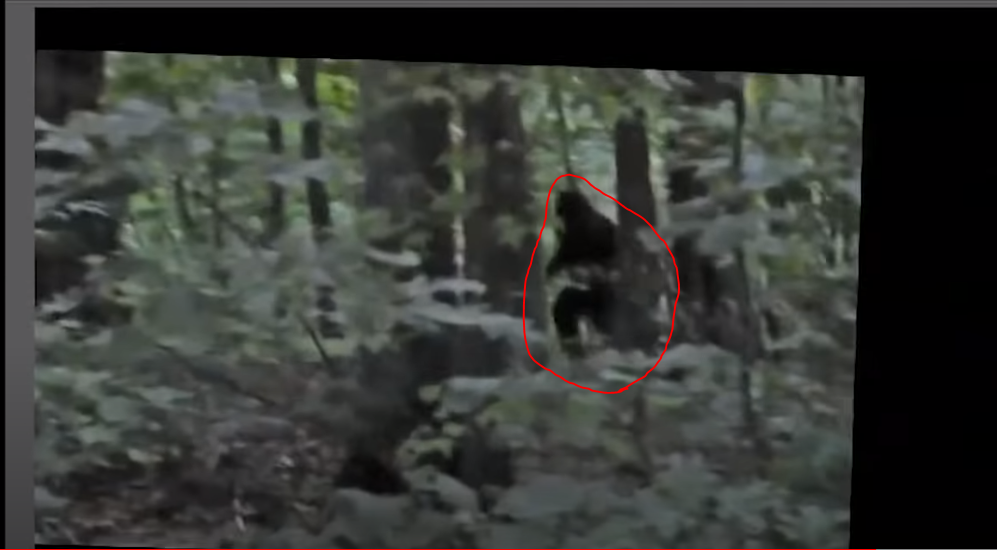 RMSO Bigfoot: Zoom Stabilized Video of Georgia Sasquatch