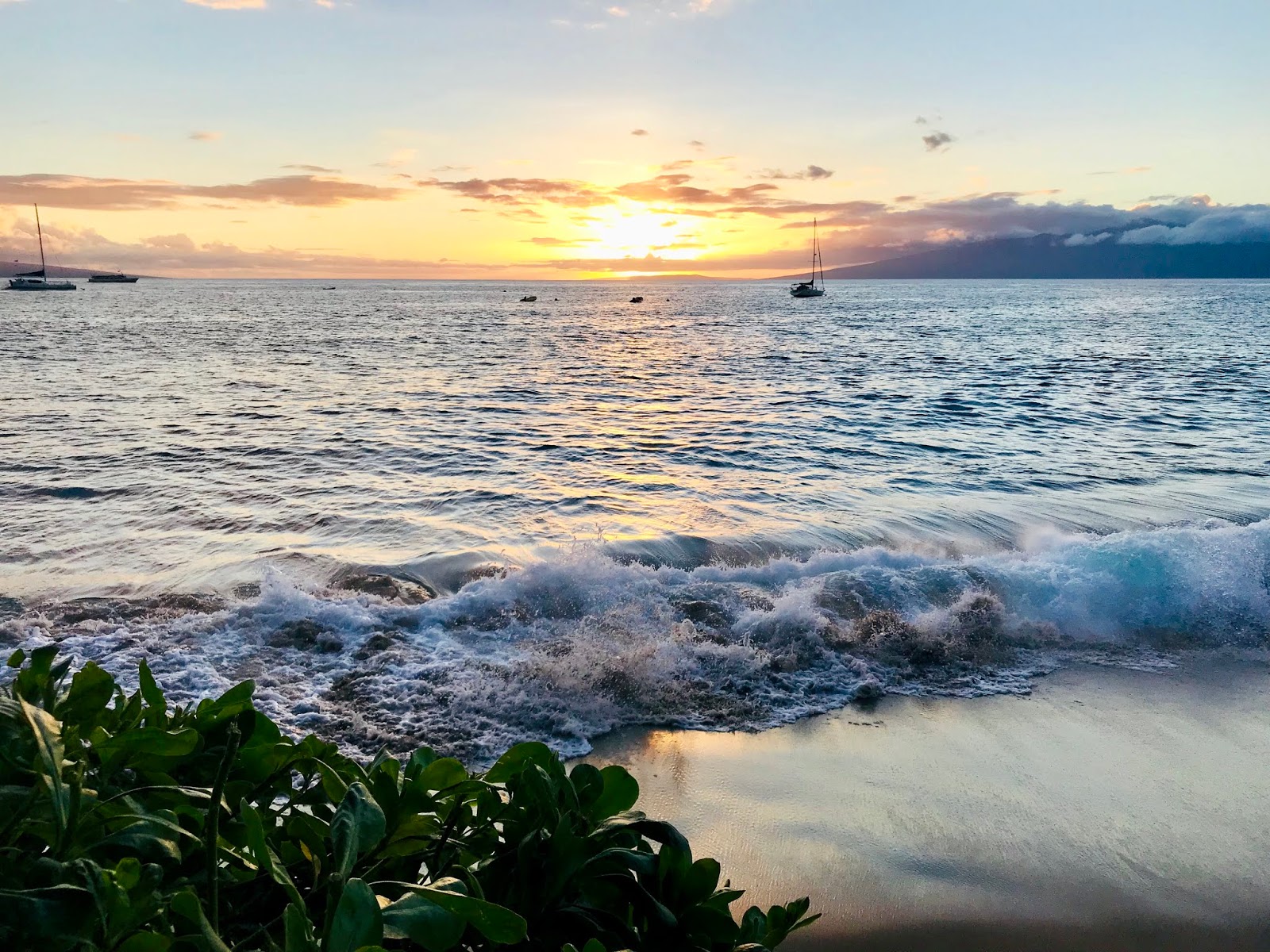 Hawaii Land Use Law and Policy